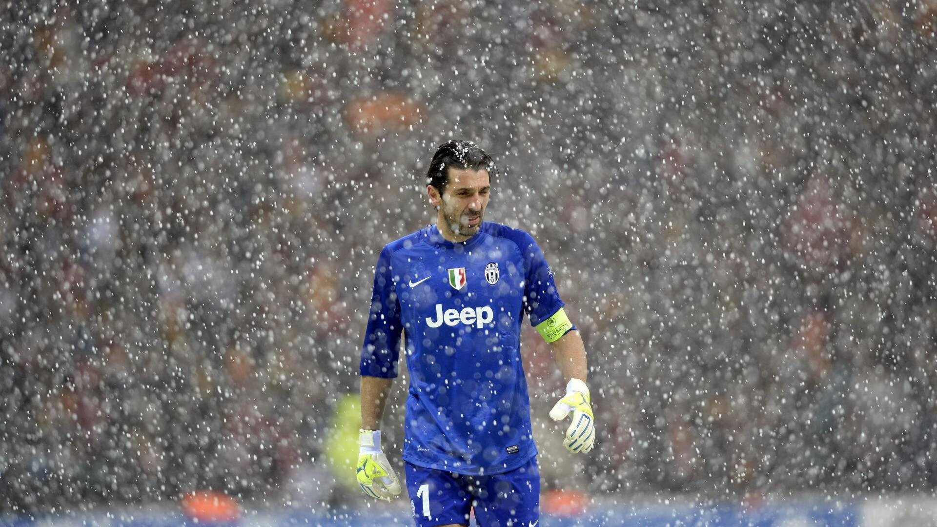 游泳、水球、跳水三项整体实力提升,游泳的跳水